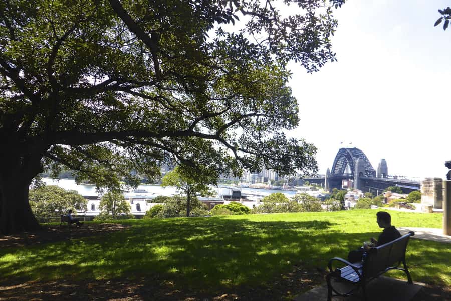 Sydney: Half-Day City Tour - Rose Bay, Vaucluse, Watsons Bay, and Camp Cove