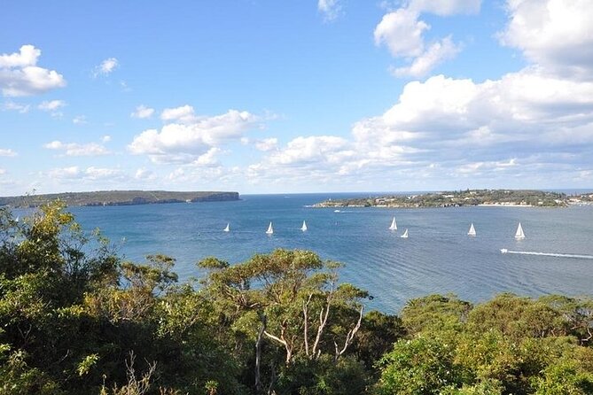 Sydney Half Day Private Tour - Watsons Bay and the connecting city lookouts