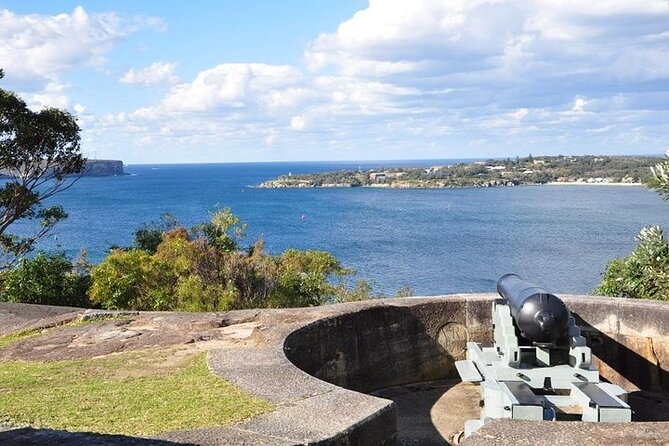 Sydney Half Day Private Tour - The Taronga Zoo option can shape your whole afternoon