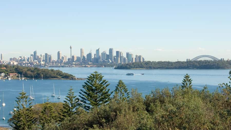 Sydney: Half-Day Private Tour of Sydney's Northern Beaches - What the private format changes