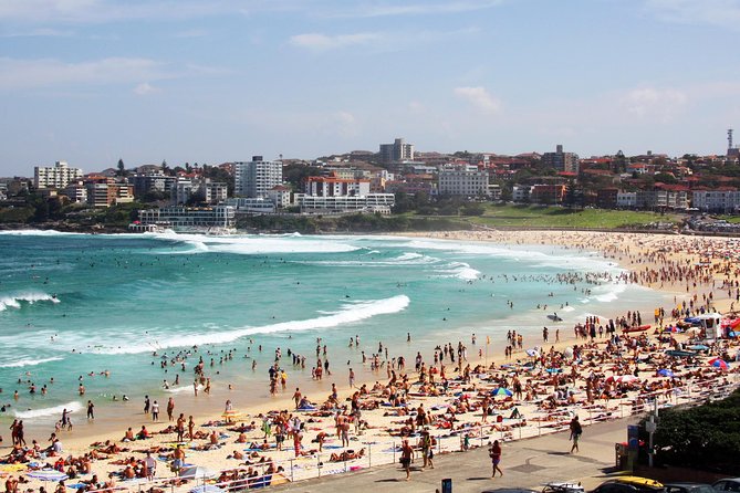 Sydney Half Day Private Tour: See Sydney Opera House and Bondi - Watsons Bay and the harbour’s eastern edge
