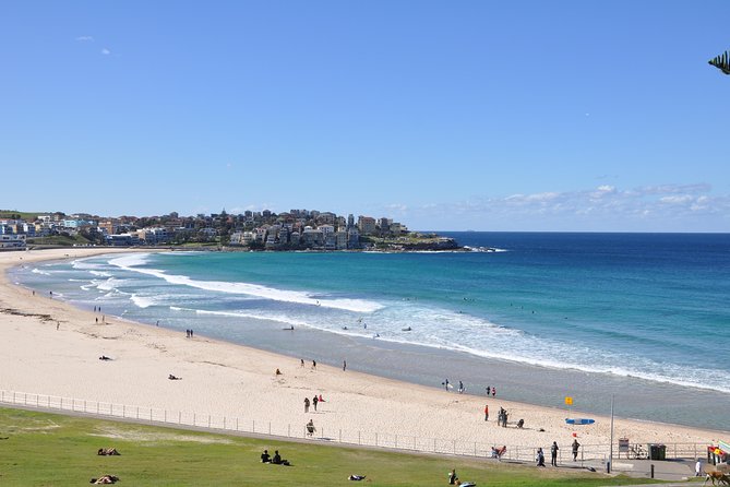 Sydney Half Day Private Tour - Bondi Beach, with a short walk instead of a drive-by