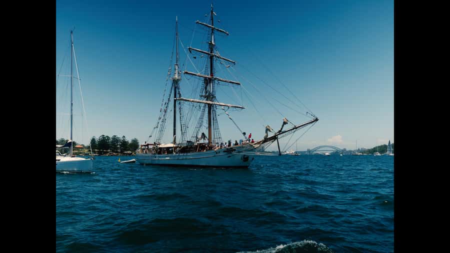 Sydney: Harbor Sunset Cruise with Dinner - What the 90-minute route gives you