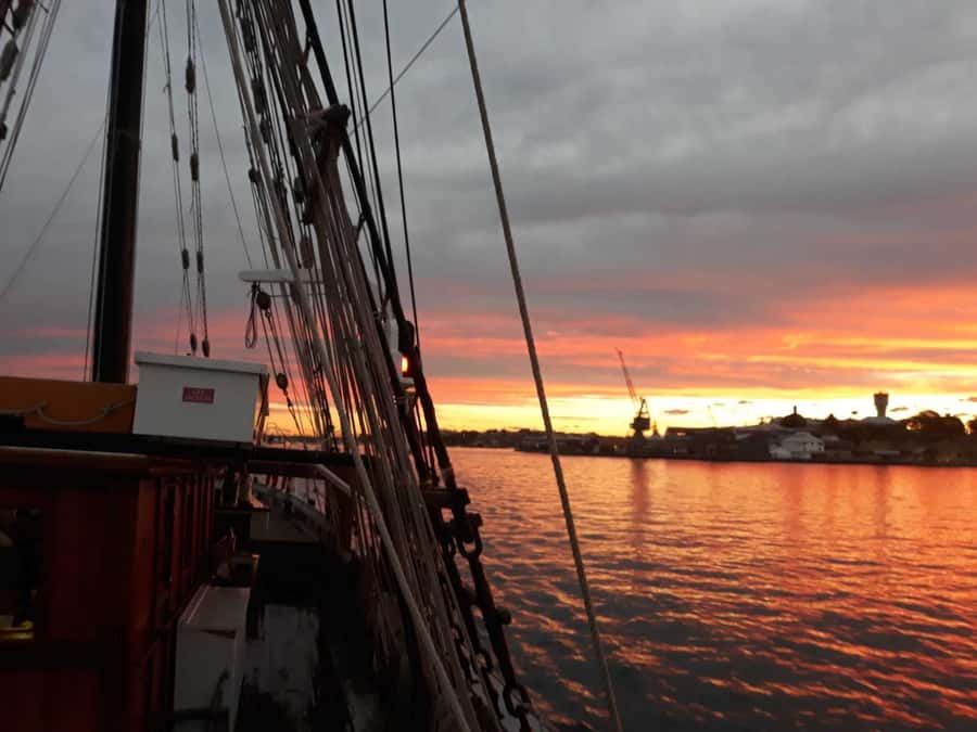 Sydney Harbor Tall Ship Wine & Canapés Evening Cruise - Australian Wine, Bubbly, and Evening Atmosphere