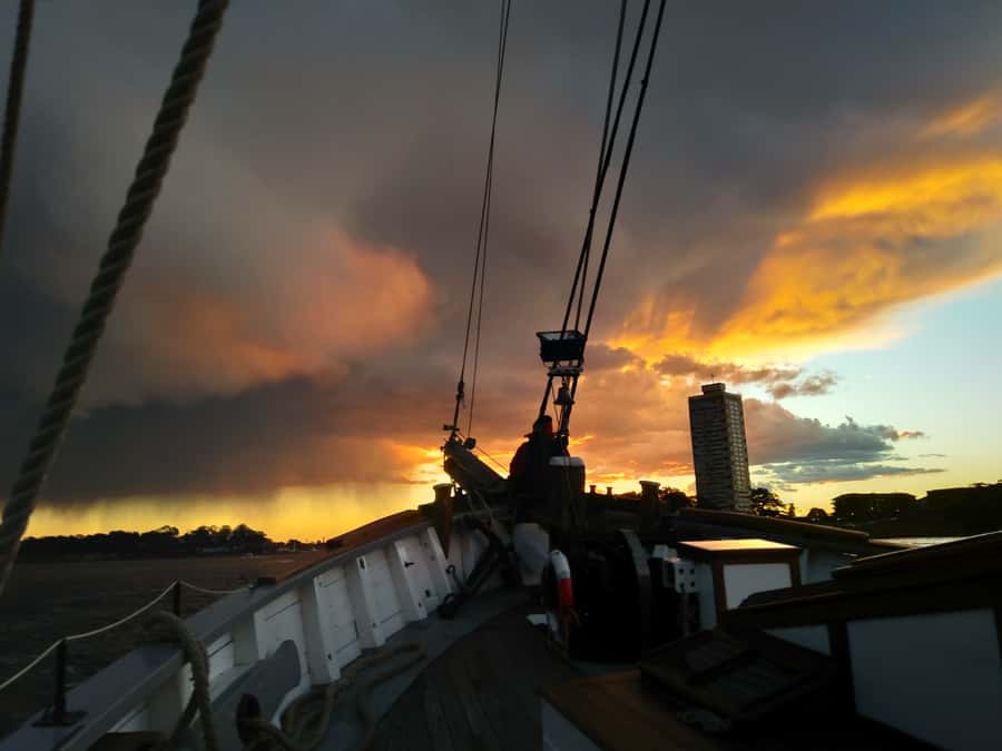 Sydney Harbor Tall Ship Wine & Canapés Evening Cruise - Canapés Served Throughout the Cruise