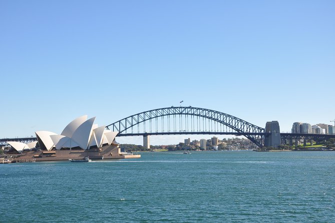 Sydney Harbour Hop On Hop Off Explorer Ferry Pass - Shark Island is a different kind of stop