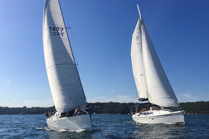 Sydney Harbour Sailing Experience - The northern harbour: Taylors Bay and Athol Bay