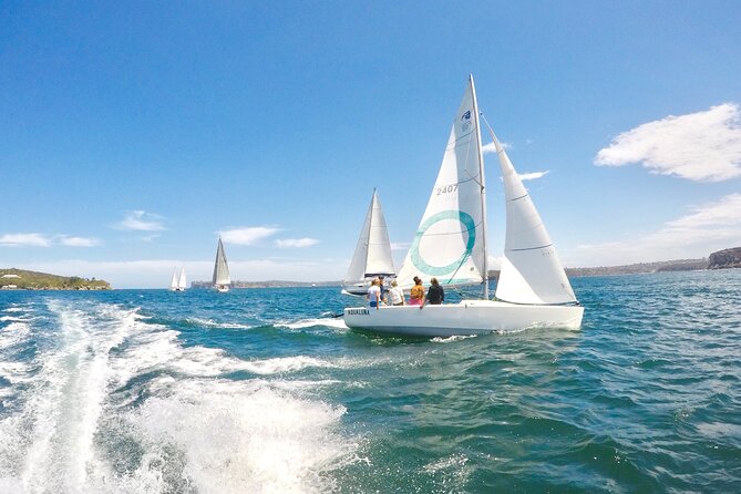 Sydney Harbour - Sailing Hands-On Experience - Who will enjoy this most