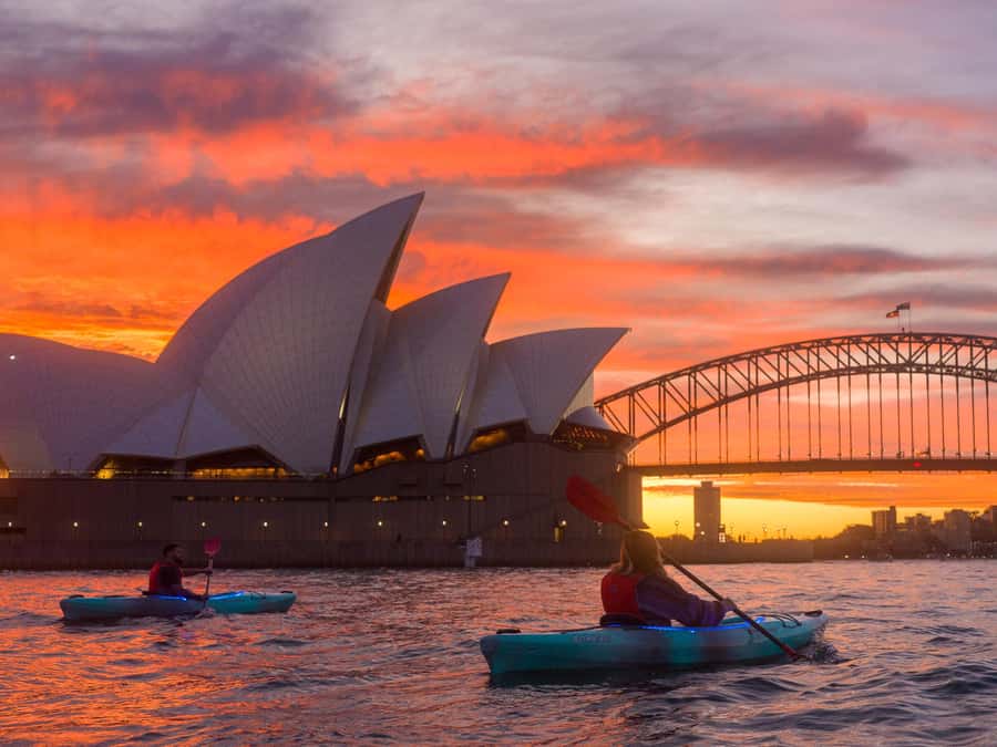 Sydney: Harbour Sunrise Kayak Tour - Key points to know before booking
