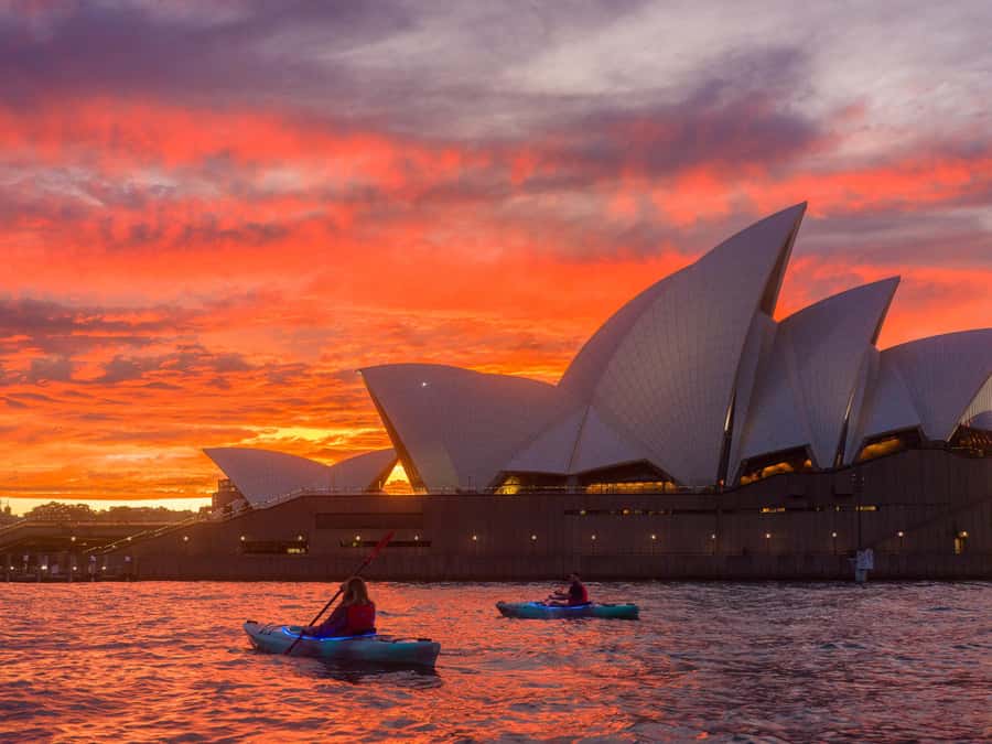 Sydney: Harbour Sunrise Kayak Tour - What the $119 price delivers