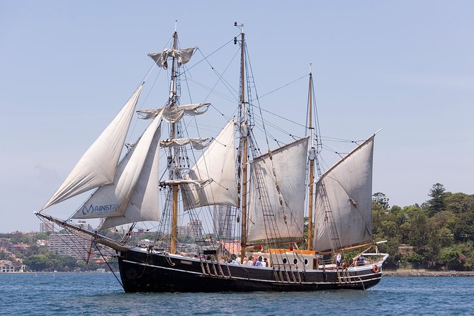 Sydney Harbour Tall Ship Afternoon Discovery Cruise - Why a tall ship beats a standard harbor cruise