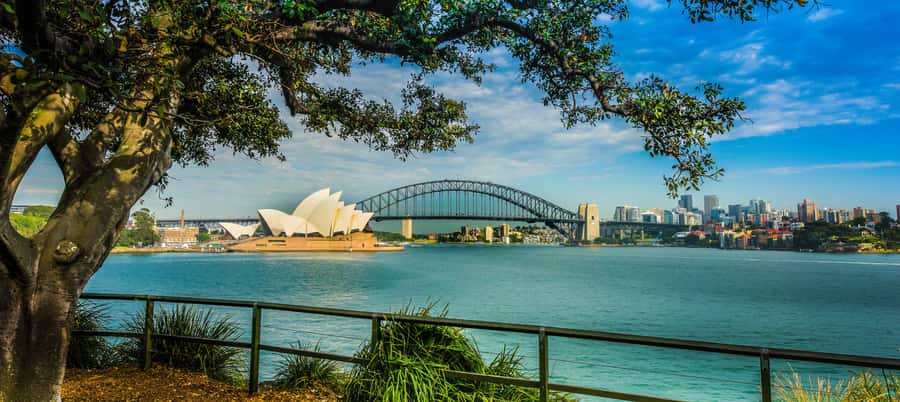 Sydney Harbour to Bondi: Small Group Half–Day Experience - From convict lanes to Bondi surf