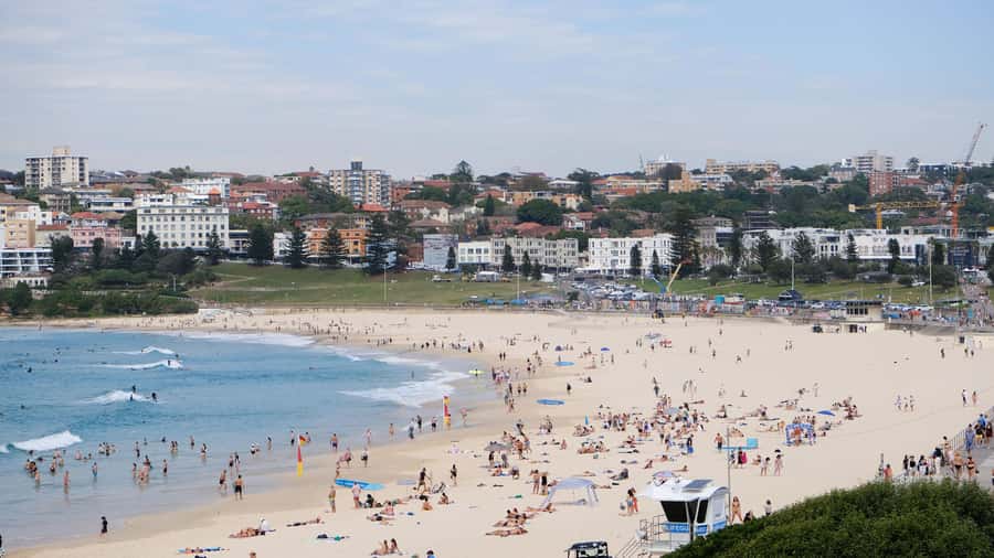 Sydney Harbour to Bondi: Small Group Half–Day Experience - Oxford Street and Paddington terrace houses