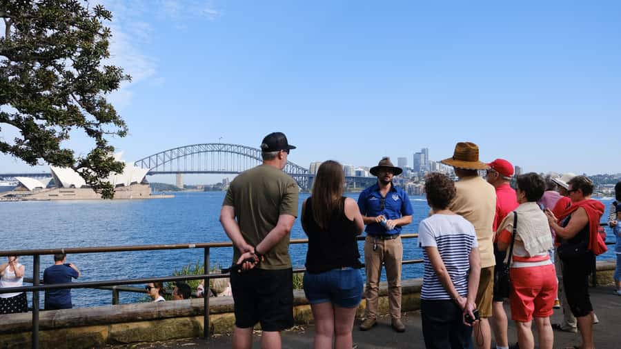 Sydney Harbour to Bondi: Small Group Half–Day Experience - Tamarama, Bronte, and the Pacific coast