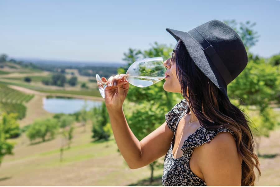 Sydney: Hunter Valley Wineries Day Trip with Food Tastings - Hunter Valley Village and the question of lunch