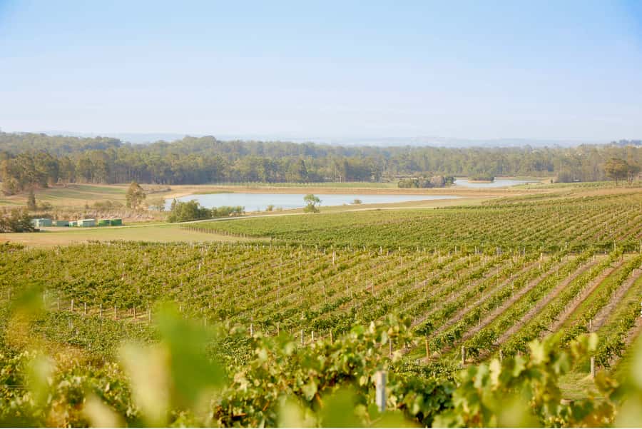 Sydney: Hunter Valley Wineries Day Trip with Food Tastings - Cheese and chocolate add a second tasting trail