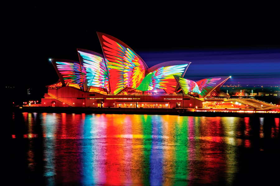 Sydney: Intimate Vivid Harbour Cruise with Canapes - Seeing Vivid Sydney from the water