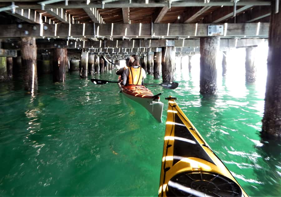 Sydney: Kayak to Goat Island At The Heart of Sydney Harbour - Who Should Book This Sydney Kayak Tour?
