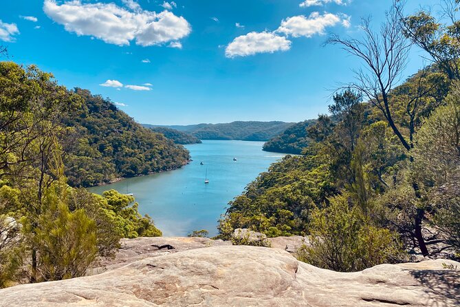 Sydney: Ku-ring-gai Chase National Park with Hike, Swim, Picnic - Key points to know before booking