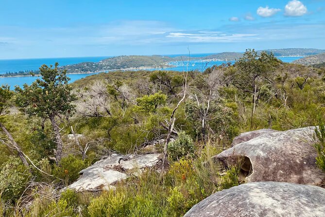 Sydney: Ku-ring-gai Chase National Park with Hike, Swim, Picnic - Bush tracks, sandstone, and Aboriginal carvings
