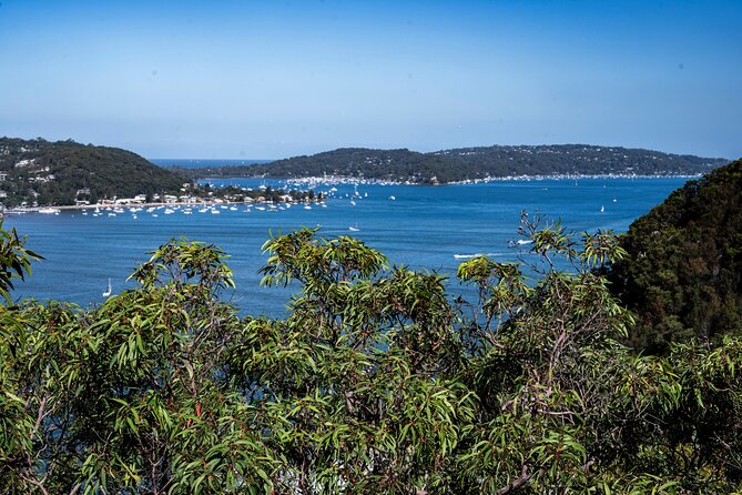 Sydney: Ku-ring-gai Chase National Park with Hike, Swim, Picnic - Resolute Beach for a swim and a quieter hour