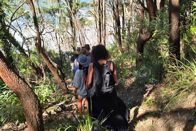 Sydney: Ku-ring-gai Chase National Park with Hike, Swim, Picnic - Who will enjoy this day most
