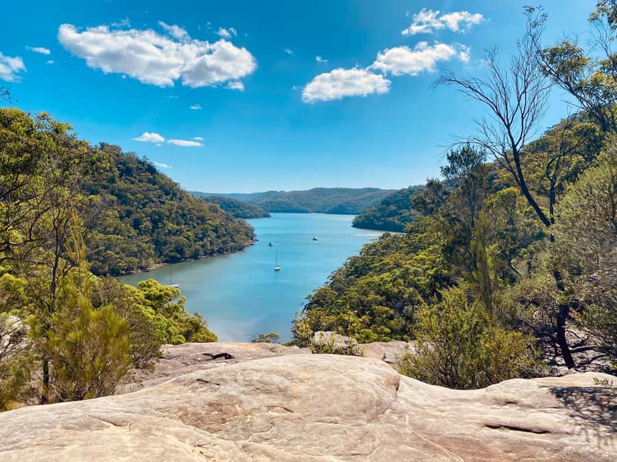 Sydney: Ku-ring-gai National Park with Hike, Beach & Picnic - Key points to know before booking