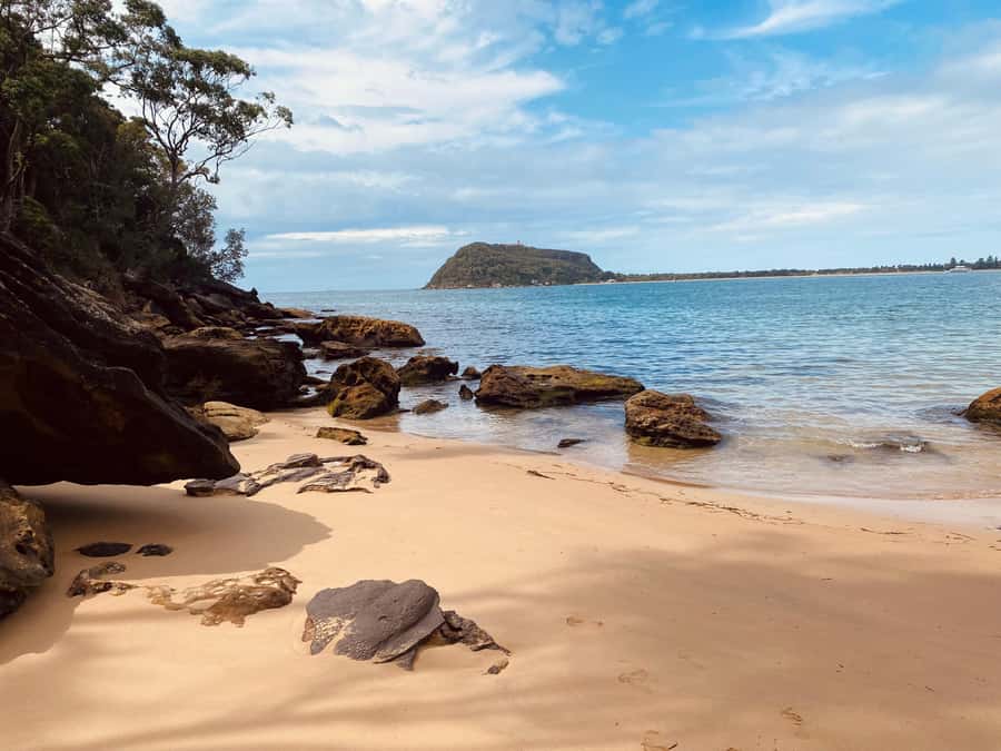 Sydney: Ku-ring-gai National Park with Hike, Beach & Picnic - Leaving Sydney for Ku-ring-gai Chase