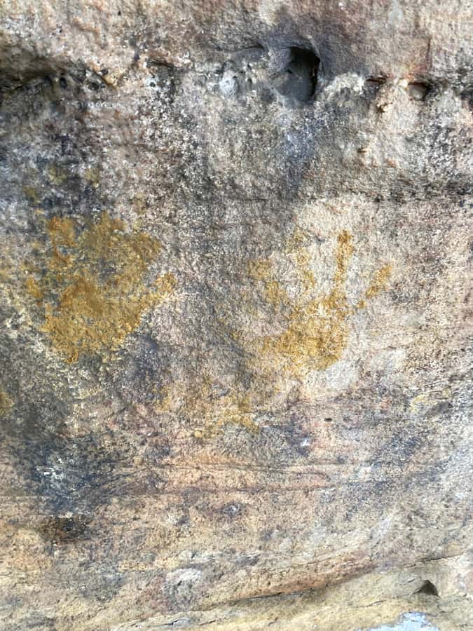 Sydney: Ku-ring-gai National Park with Hike, Beach & Picnic - A picnic with local food near the water