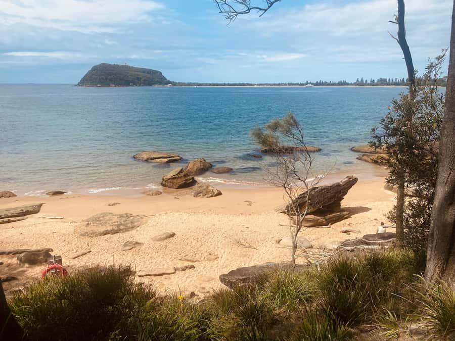 Sydney: Ku-ring-gai National Park with Hike, Beach & Picnic - How difficult is the walk?