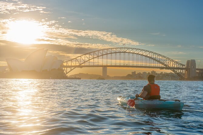 Sydney LED Lit Kayak Tour of the Opera House and Bridge - Key points to know before booking