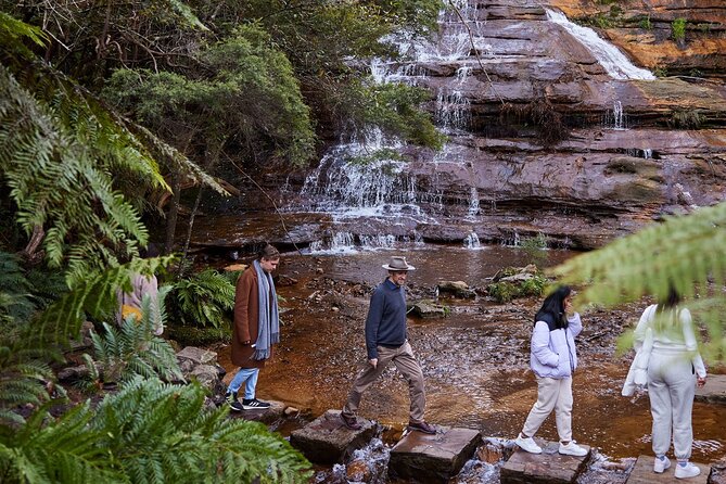 Sydney: Luxury Blue Mountains Adventure as a Small Group Day Tour - What makes this Blue Mountains day different