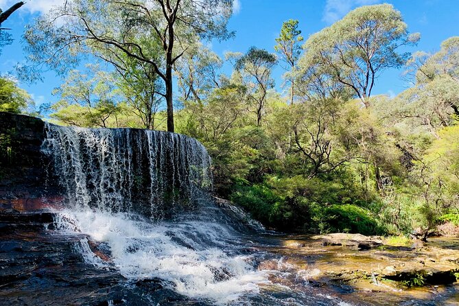 Sydney: Luxury Blue Mountains Adventure as a Small Group Day Tour - Leura gives you a proper lunch break