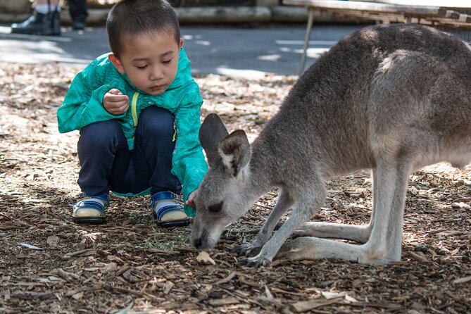 Sydney: Luxury Blue Mountains Adventure as a Small Group Day Tour - Echo Point and the Three Sisters