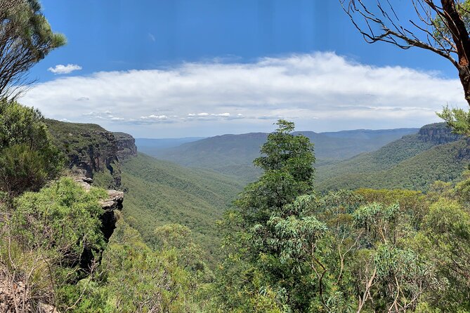 Sydney: Luxury Blue Mountains Adventure as a Small Group Day Tour - The guide can make or break the day