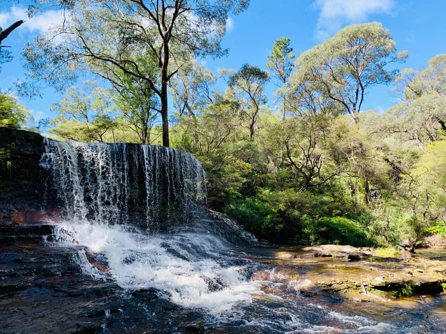 Sydney: Luxury Blue Mountains Adventure with Wentworth Falls - Why this Blue Mountains day works so well