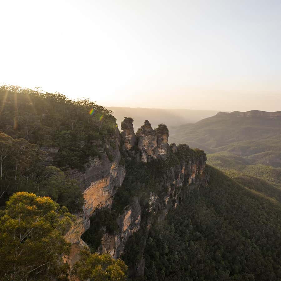 Sydney: Luxury Blue Mountains Adventure with Wentworth Falls - Featherdale Wildlife Park in the morning
