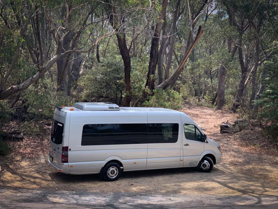 Sydney: Luxury Blue Mountains Adventure with Wentworth Falls - How good is the value at $194?