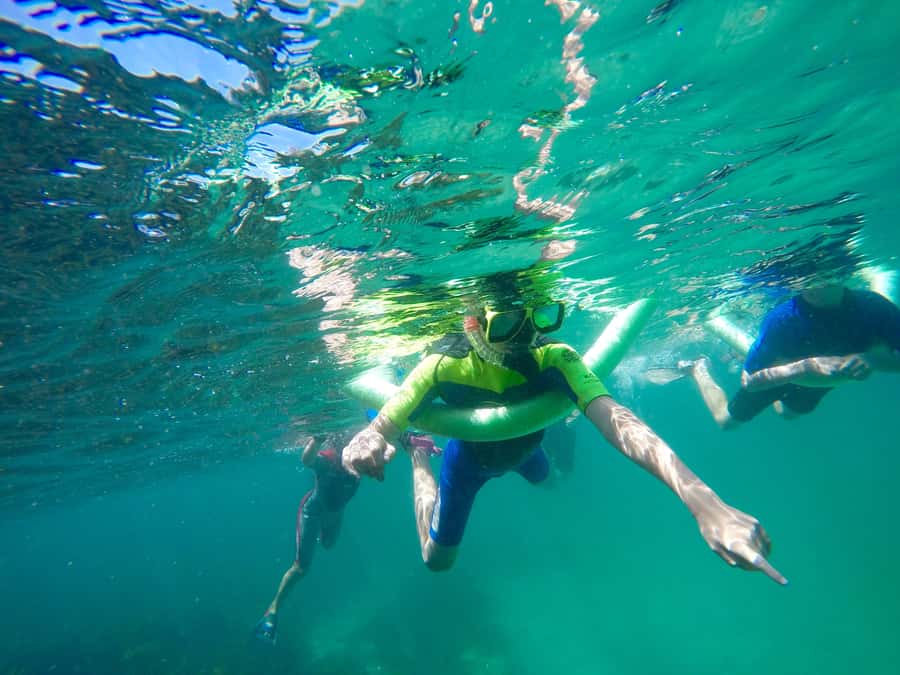 Sydney: Manly and Shelly Beach Snorkeling Tour - The 800-meter headland walk comes first