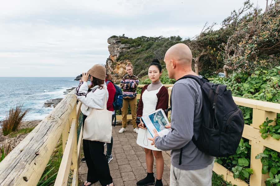 Sydney: Manly and Shelly Beach Snorkeling Tour - One hour among Cabbage Tree Bay’s reef life