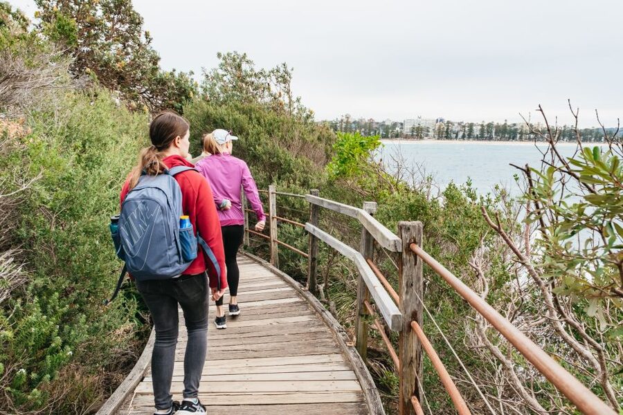 Sydney: Manly and Shelly Beach Snorkeling Tour - What the conditions can change