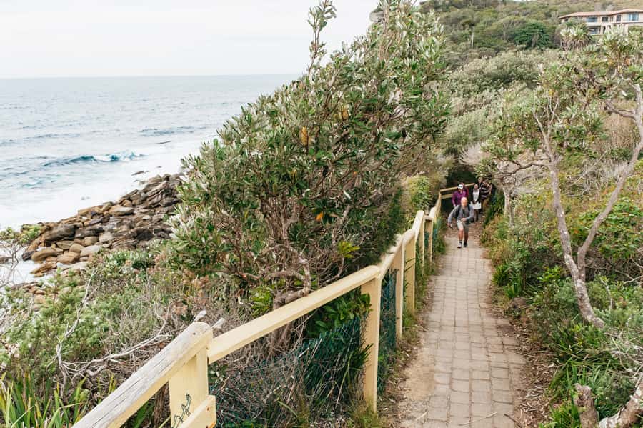 Sydney: Manly and Shelly Beach Snorkeling Tour - Is $77 a fair price?