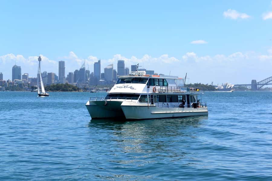 Sydney: Morning Sightseeing Bus to Bondi with Lunch Cruise - Key points to know before booking