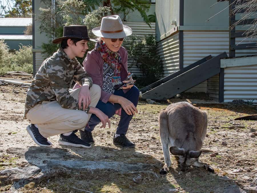 Sydney: Nature and Wildlife - Australia in One Day - How the $396 price holds up