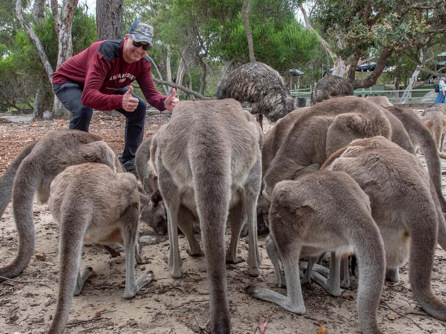 Sydney: Nature and Wildlife - Australia in One Day - Practical details for a smoother day