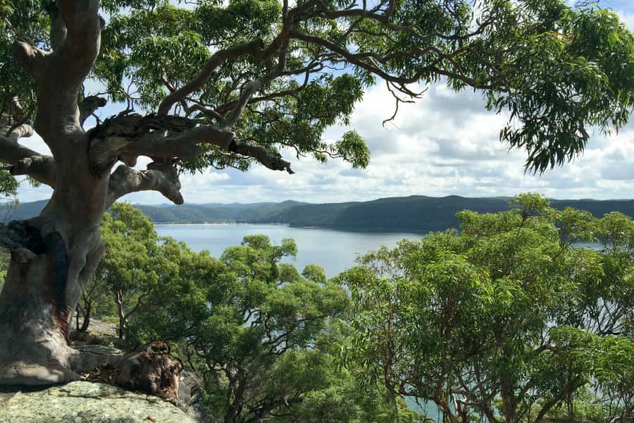 Sydney: Northern Beaches and Ku-ring-gai National Park Tour - Palm Beach, Barrenjoey, and the northern headlands