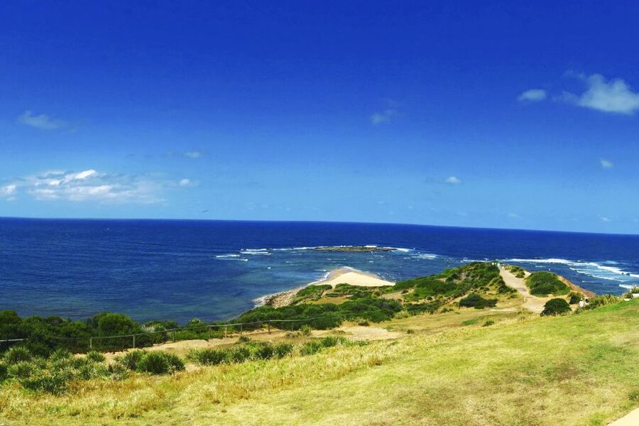 Sydney: Northern Beaches and Ku-ring-gai National Park Tour - Narrabeen and Long Reef for surf and open views