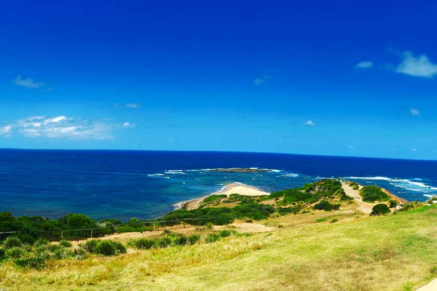 Sydney: Northern Beaches and Ku-ring-gai National Park Tour - Curl Curl, Freshwater, and the story of Australian surfing