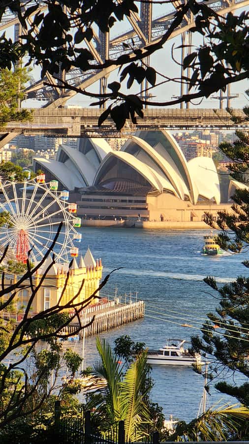 Sydney: Opera & Harbour Bridge Small-Group Kayak Tour - Heading toward Sydney Harbour Bridge