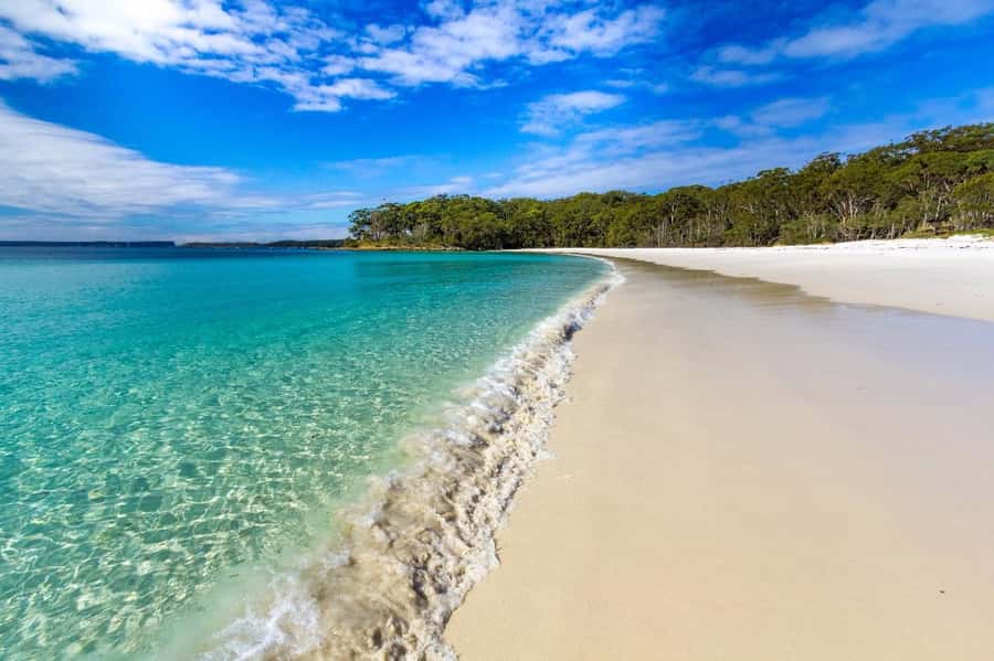 Sydney: Port Stephens Day Trip with Dolphin Cruise or Hike - Choosing Sandboarding at Anna Bay